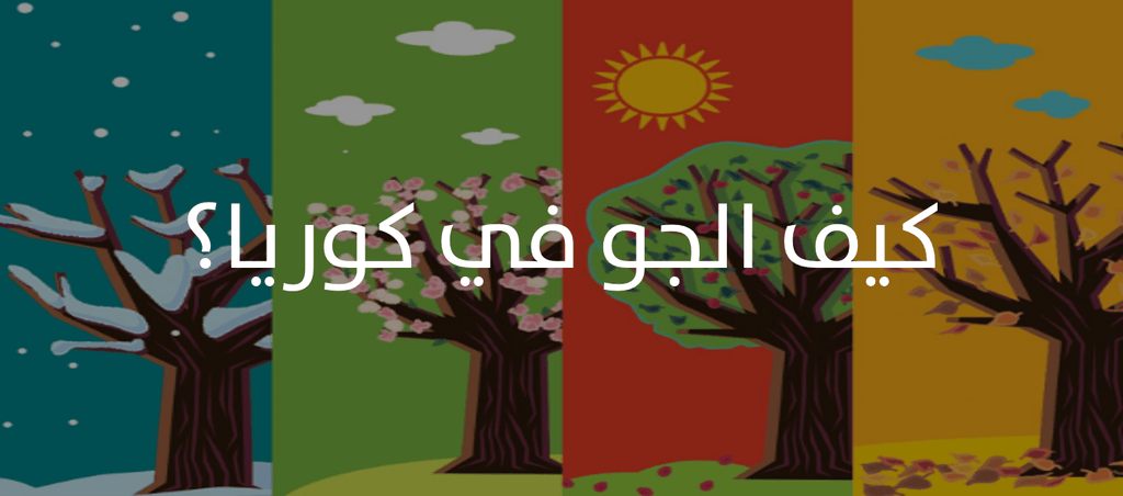 كيف الجو في كوريا؟ - YallaKOREA