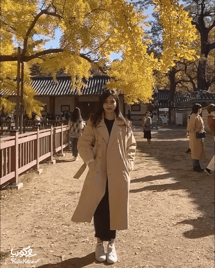 Muna | منى - YallaKOREA