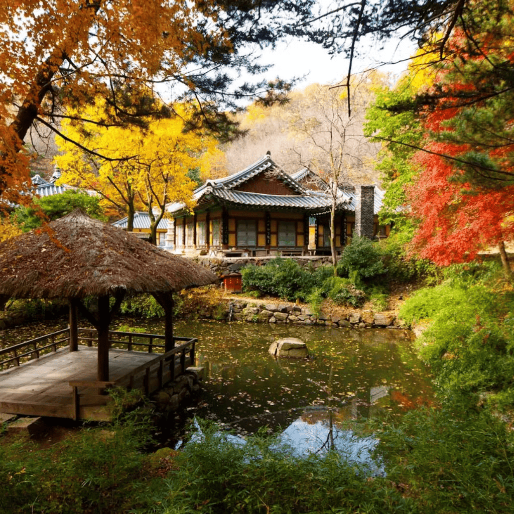 القرية الشعبية الكورية + مول كواكس | Korean Folk Village + Coex Mall - YallaKOREA
