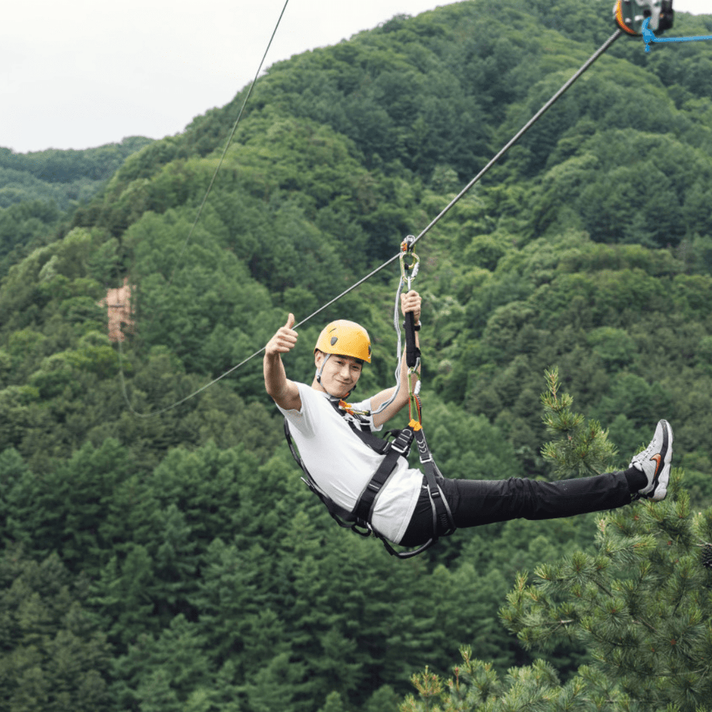 النزول بالحبل + جزيرة نامي | Gapyeong Bridge Zipline + Nami Island - YallaKOREA