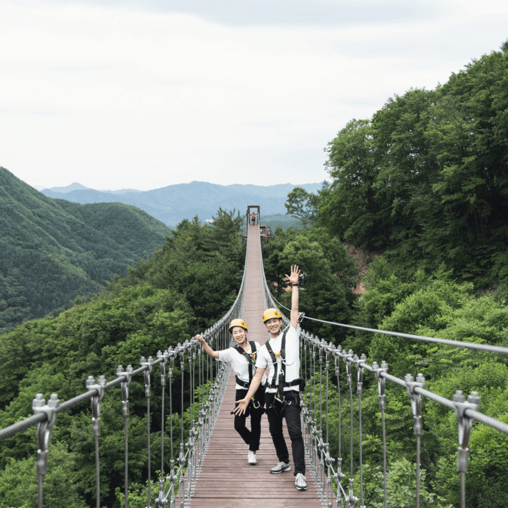 النزول بالحبل + جزيرة نامي | Gapyeong Bridge Zipline + Nami Island - YallaKOREA