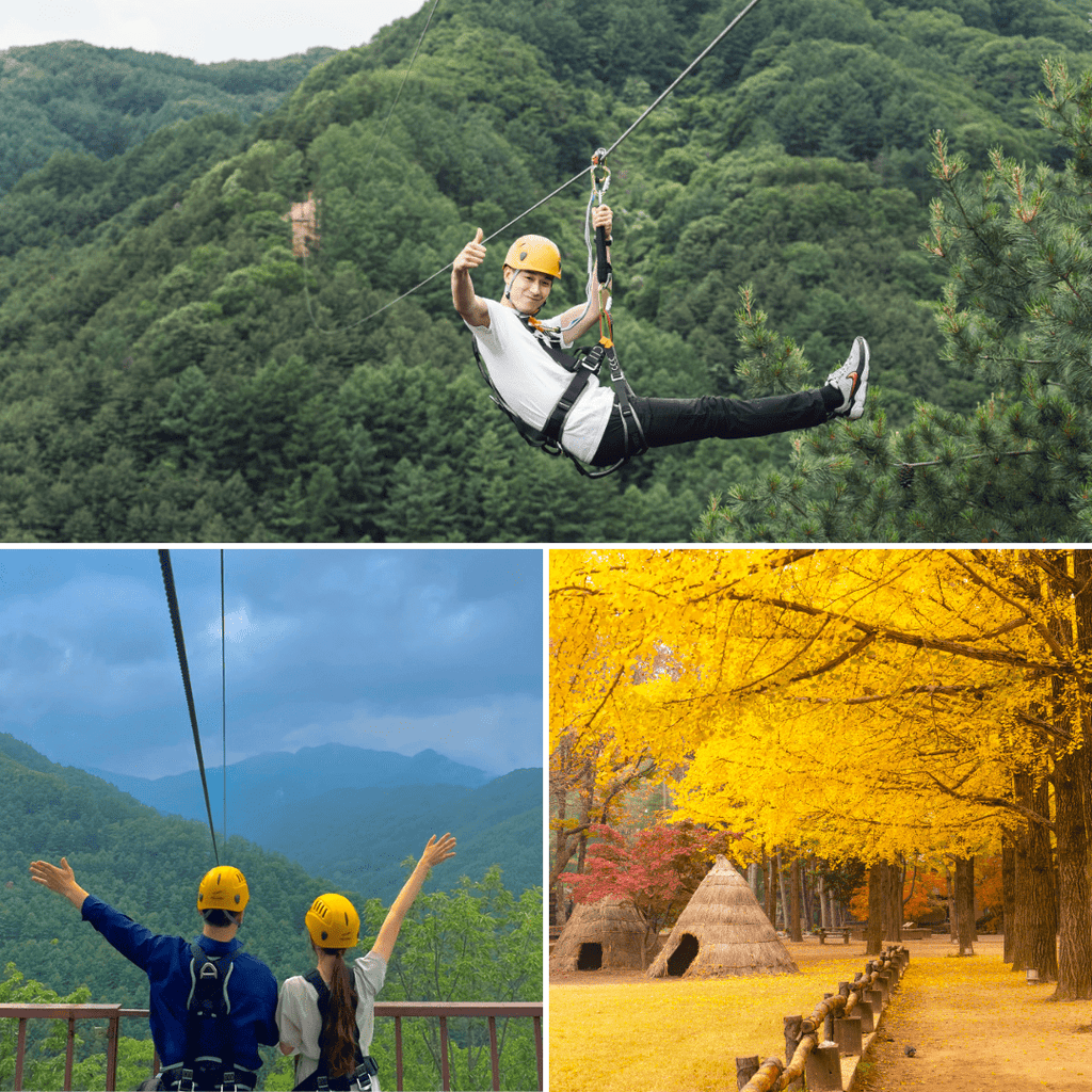 النزول بالحبل + جزيرة نامي | Gapyeong Bridge Zipline + Nami Island - YallaKOREA