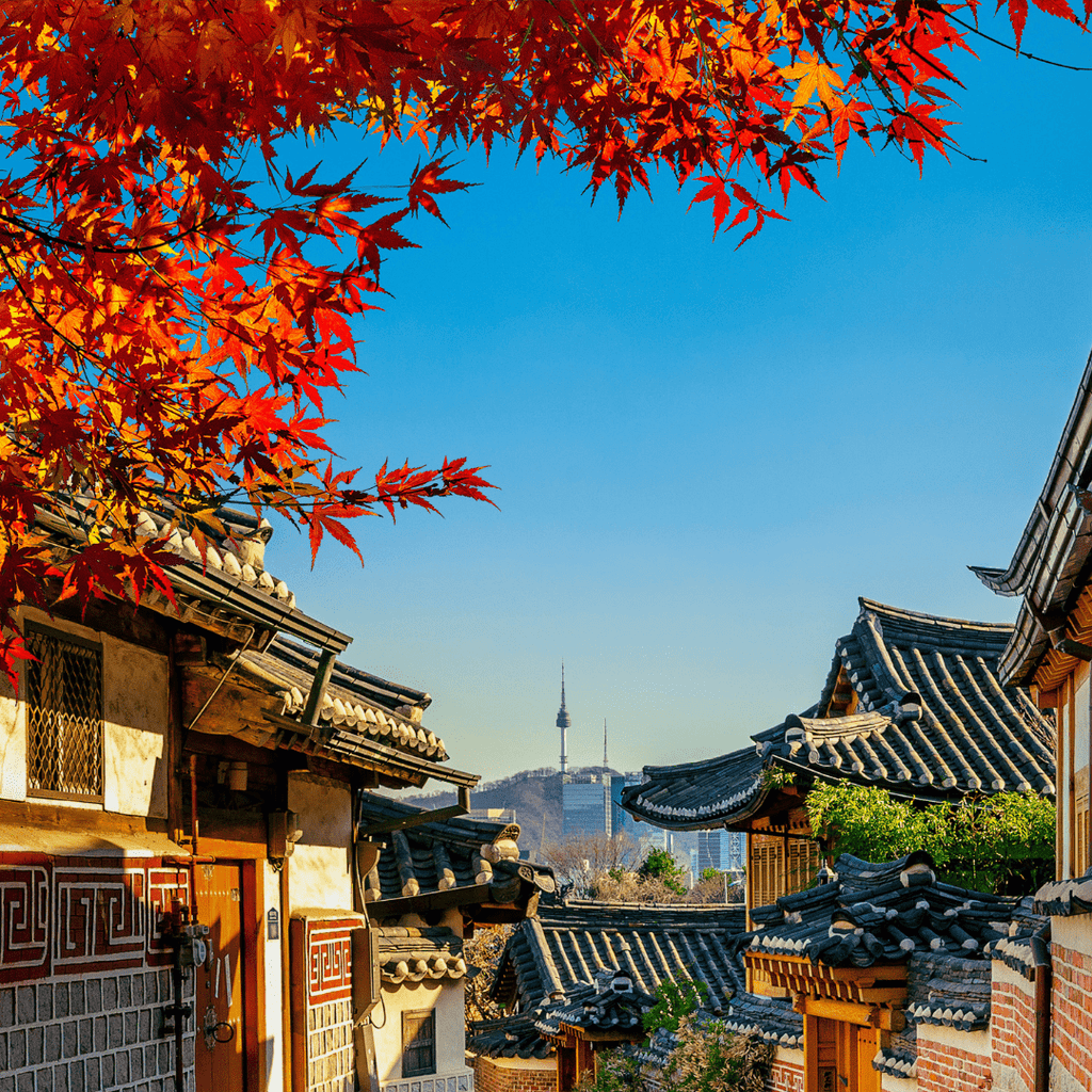 بكج 8 أيام - بكج مع وقت حر - YallaKOREA