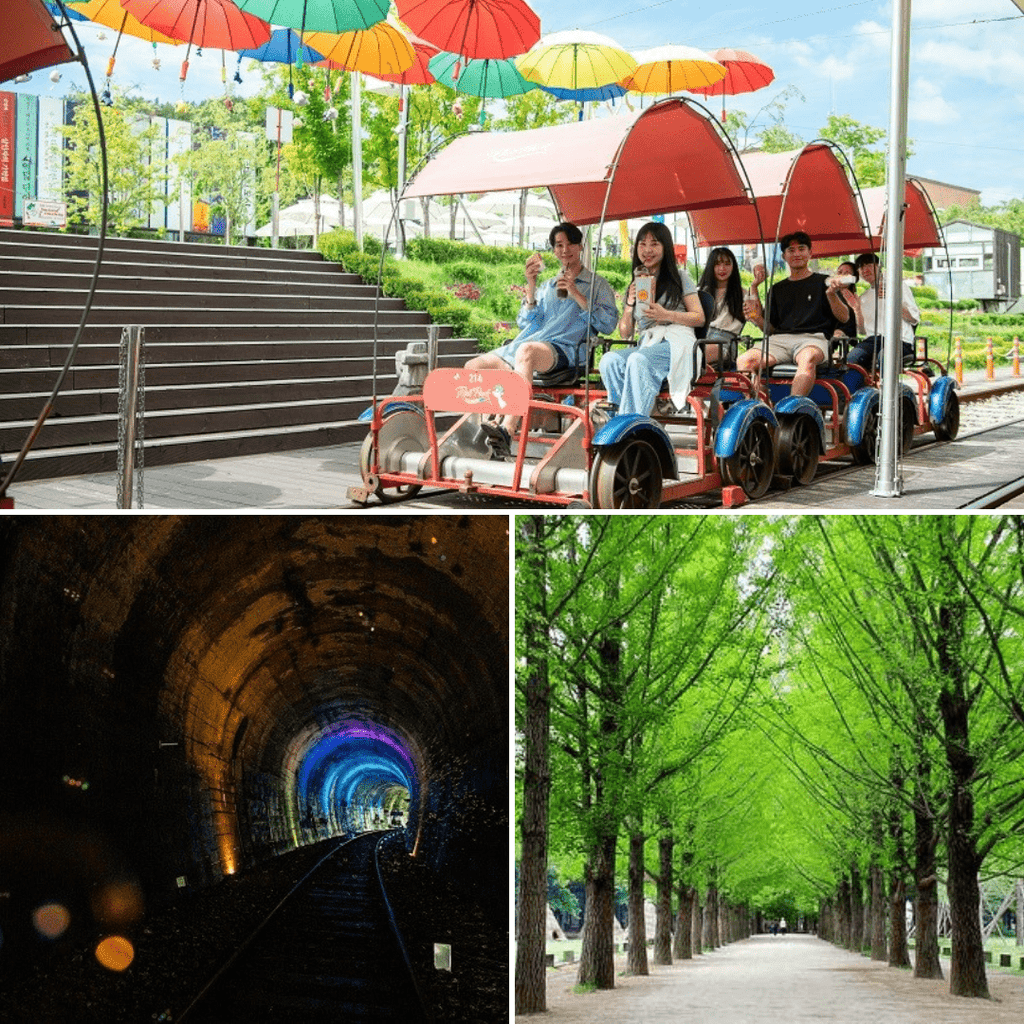 دراجة السكة الحديدية + جزيرة نامي | Gangchon Rail Bike + Nami Island - YallaKOREA
