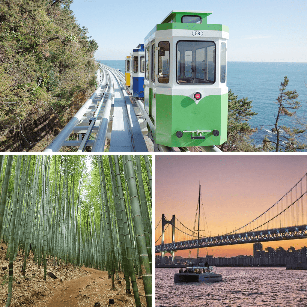 في بوسان القطار البحري + غابة أهوبسان + يخت في هايونداي | Busan Blueline Park + Ahopsan Forest + Yacht in Haeundae - YallaKOREA