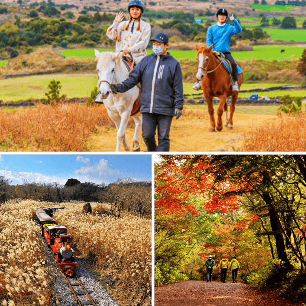 جزيرة جيجو بكج 2 ليلة و3 أيام | Jeju Island - YallaKOREA
