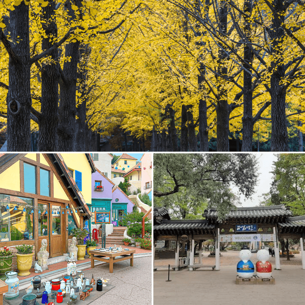 جزيرة نامي + القرية الفرنسية | Nami Island + Petite France - YallaKOREA