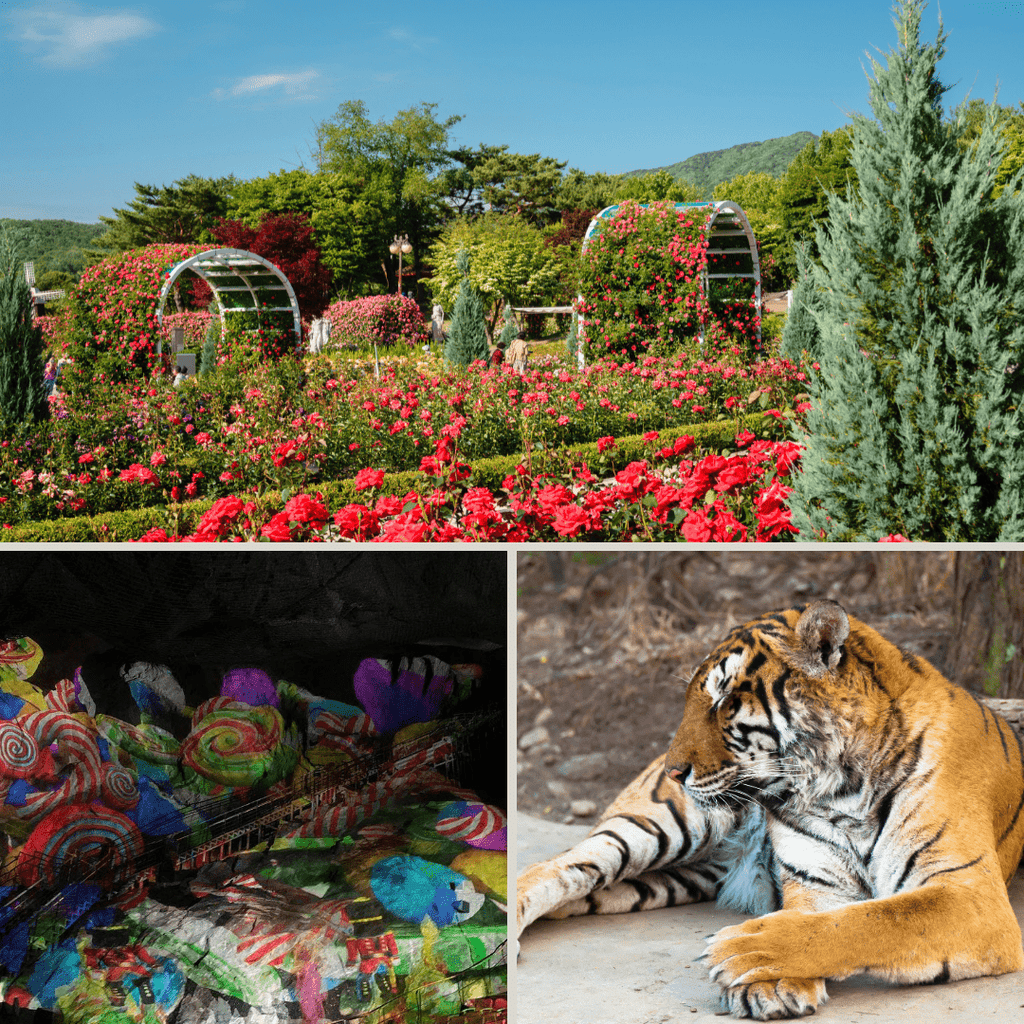 كهف غوانغ موينغ + سيول غراند بارك | Gwangmyeong Cave + Seoul Grand Park - YallaKOREA