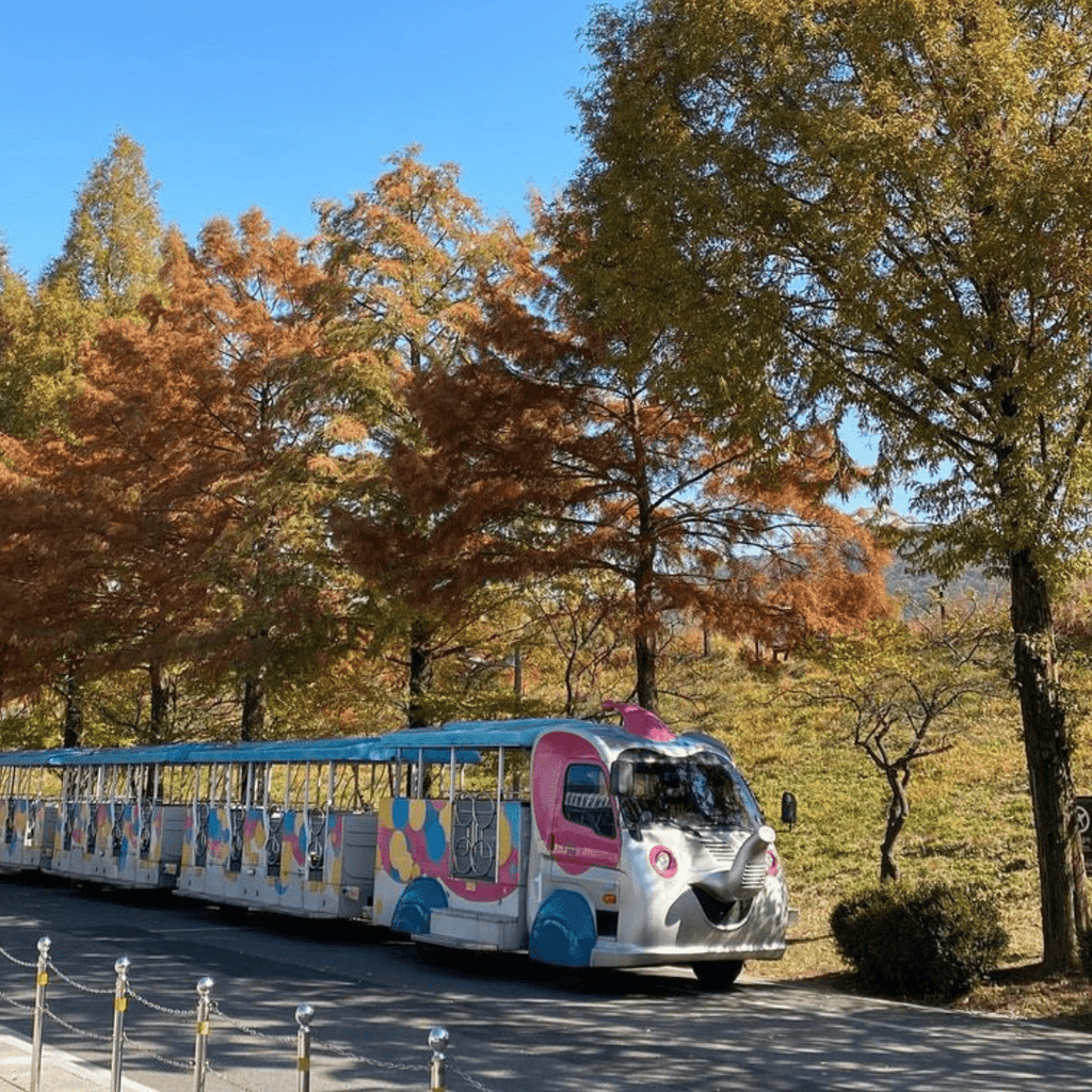كهف غوانغ موينغ + سيول غراند بارك | Gwangmyeong Cave + Seoul Grand Park - YallaKOREA