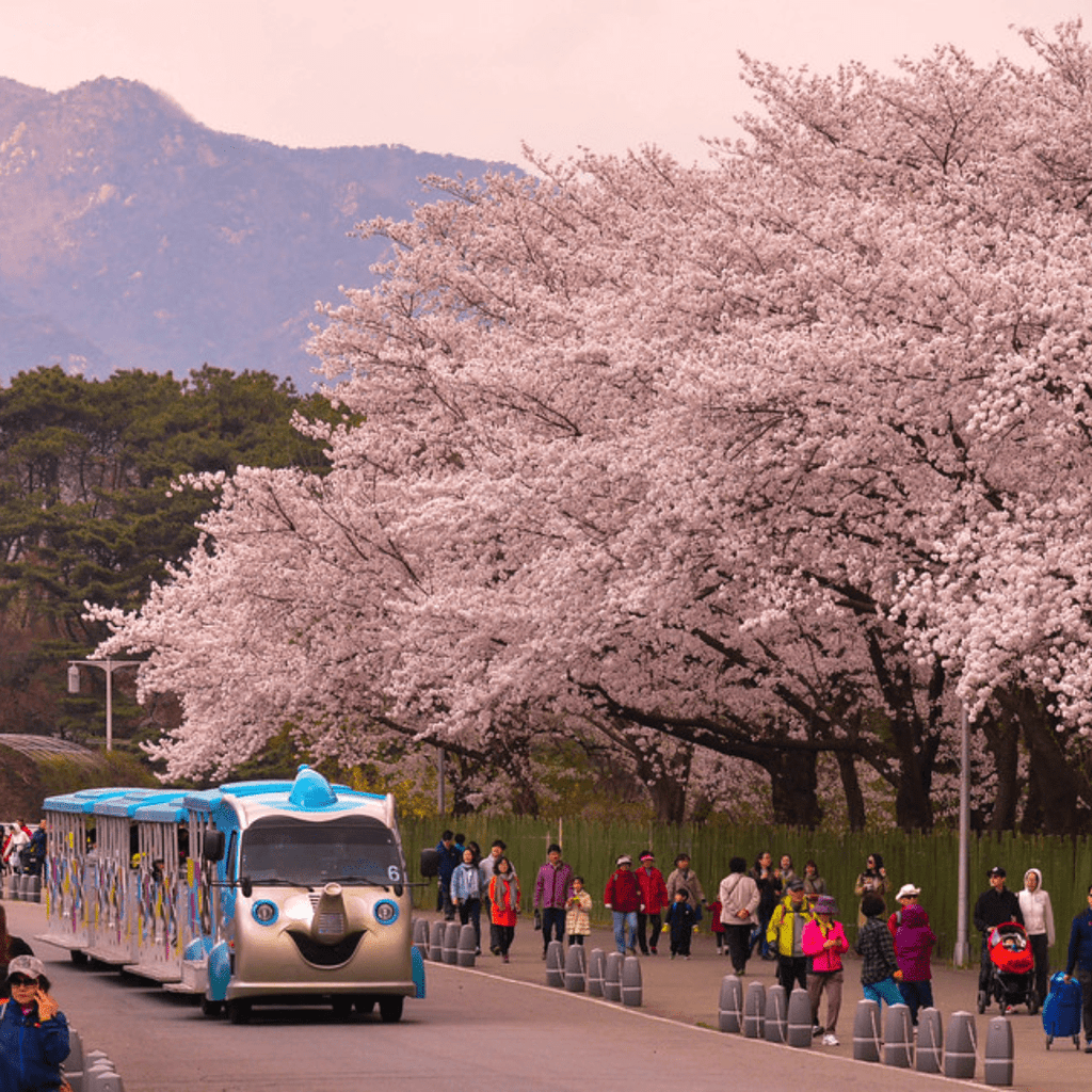 كهف غوانغ موينغ + سيول غراند بارك | Gwangmyeong Cave + Seoul Grand Park - YallaKOREA