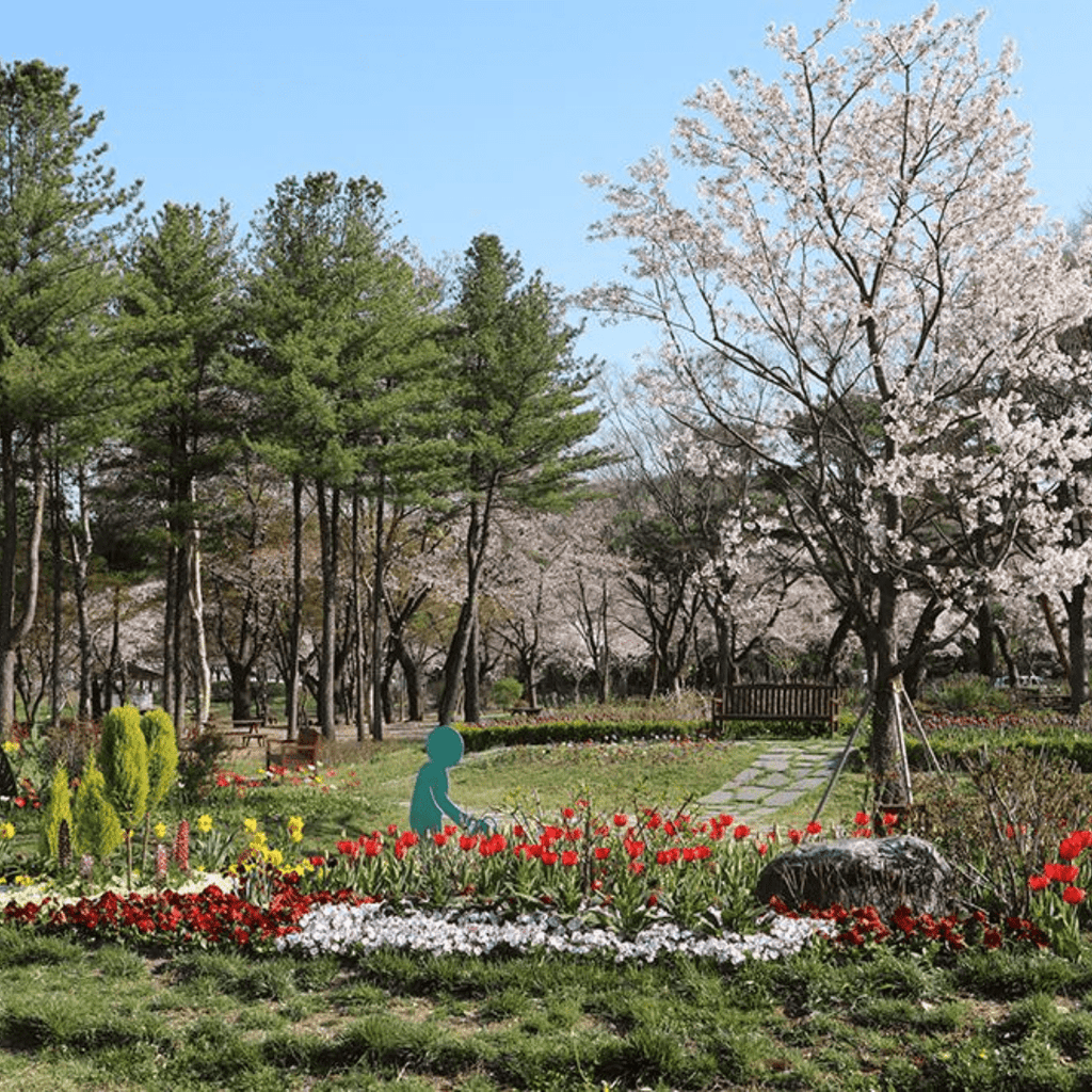 كهف غوانغ موينغ + سيول غراند بارك | Gwangmyeong Cave + Seoul Grand Park - YallaKOREA