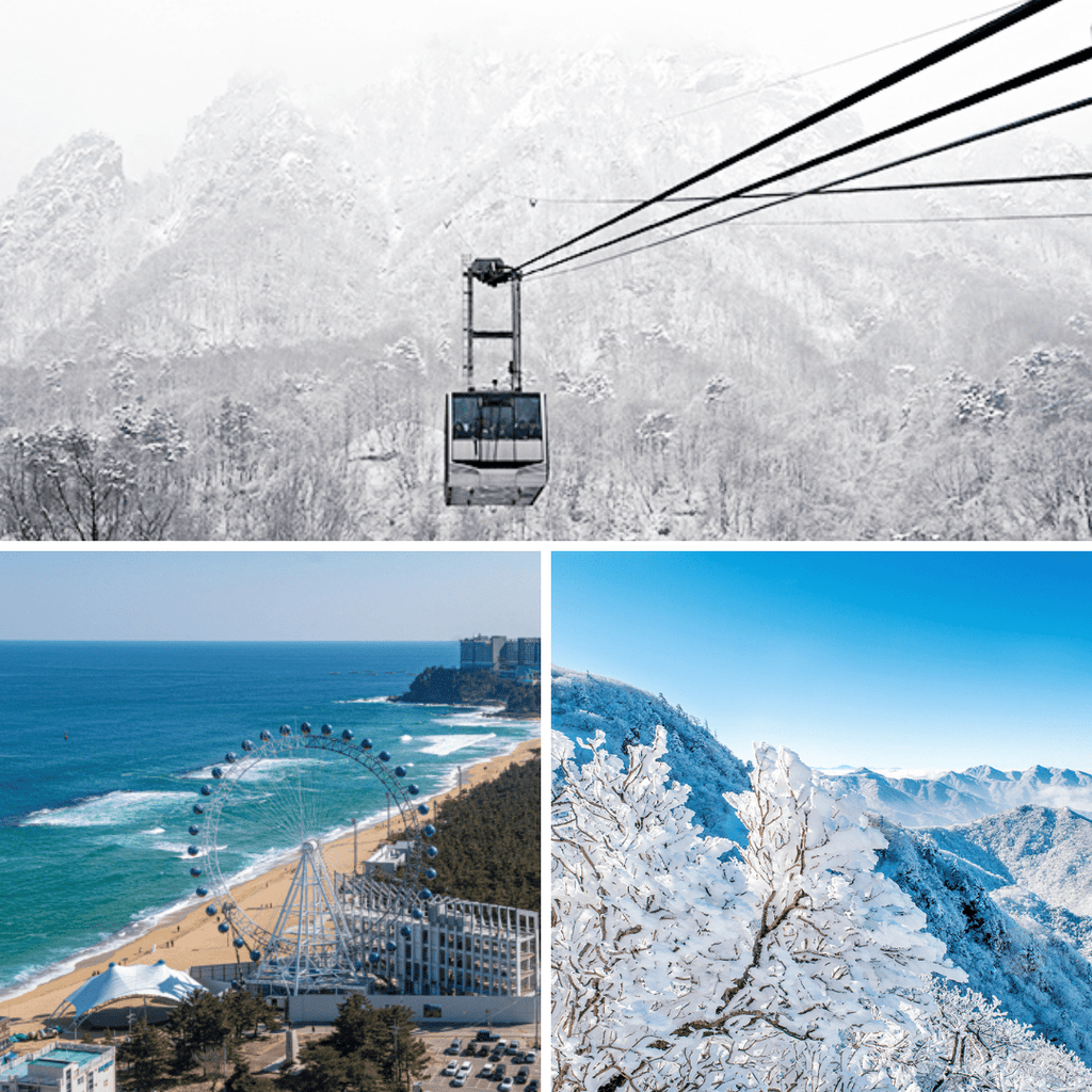 مدينة غانغ - وون بكج 1 ليلة و2 يومين | Gangwon (1day and 2nights) - YallaKOREA