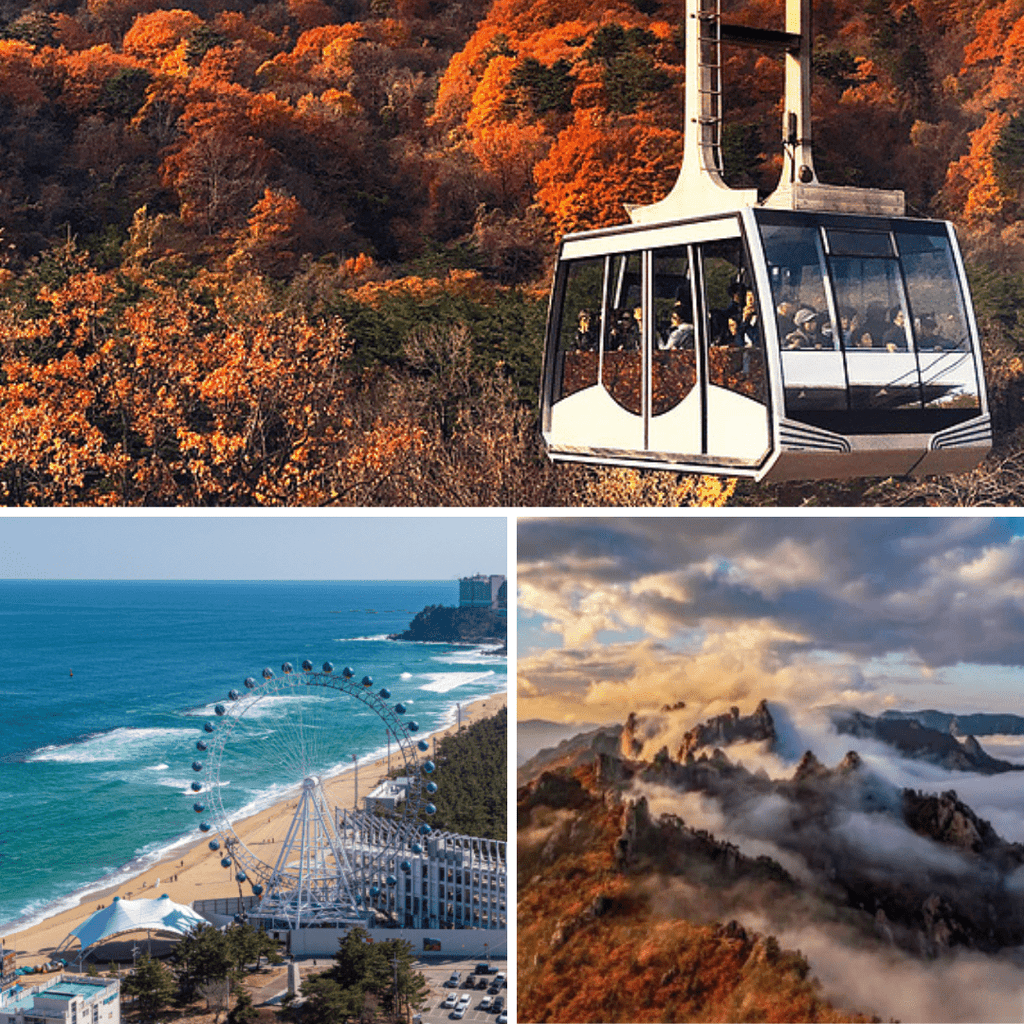 مدينة غانغ - وون بكج 1 ليلة و2 يومين | Gangwon (1day and 2nights) - YallaKOREA