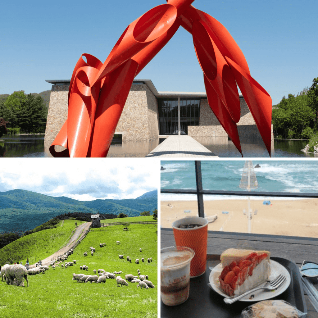 مدينة غانغ - وون بكج 2 ليلتين و3 أيام | Gangwon (2days and 3nights) - YallaKOREA