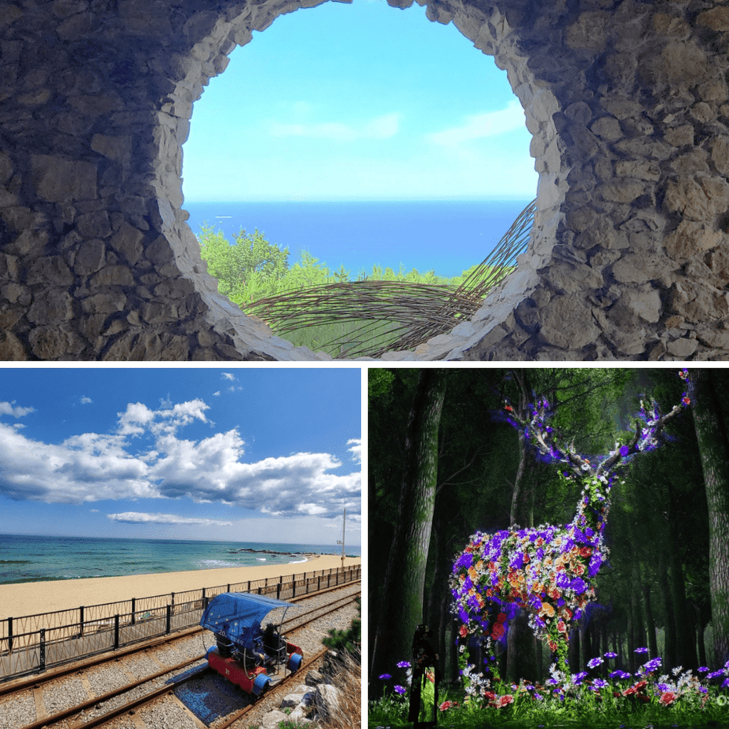 مدينة غانغ - وون بكج 2 ليلتين و3 أيام | Gangwon (2days and 3nights) - YallaKOREA