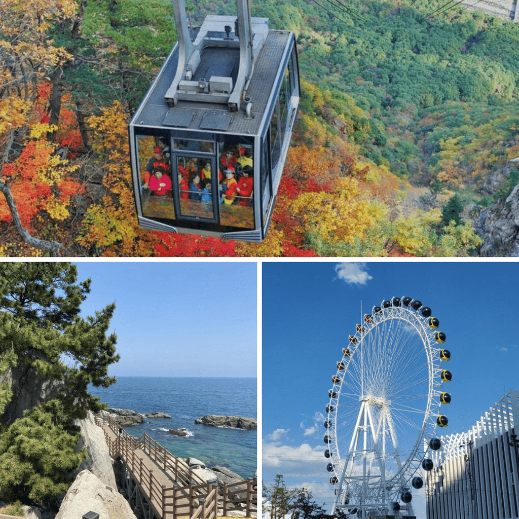 مدينة غانغ - وون بكج 2 ليلتين و3 أيام | Gangwon (2days and 3nights) - YallaKOREA