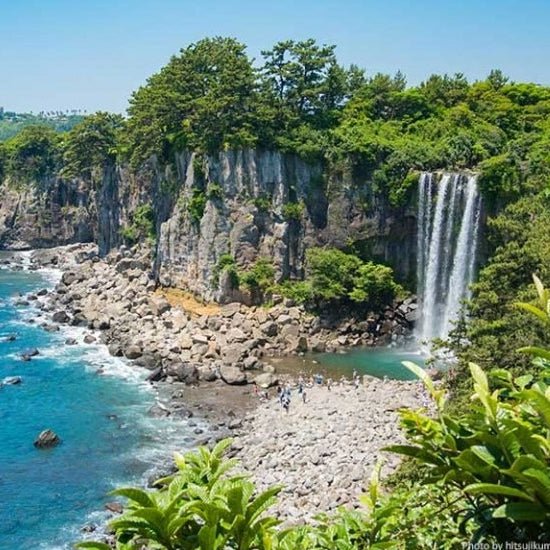 ⭐ (Jeju) المطاعم حول - YallaKOREA